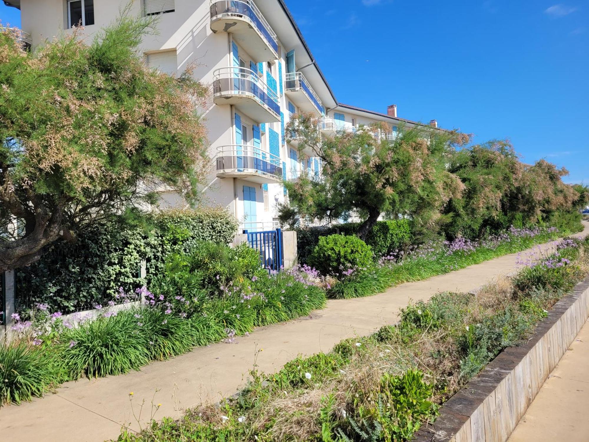 סורטס הוסגור Sable - Appartement Renove Pour 4 Personnes מראה חיצוני תמונה